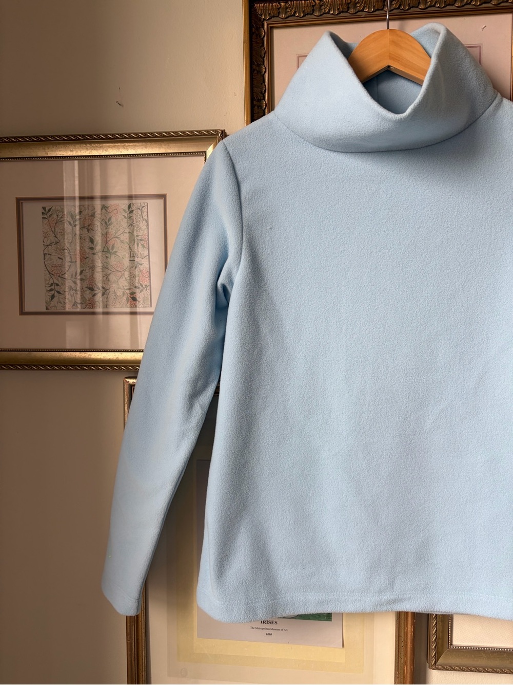 NEW NWT Dudley Stephens Greenpoint Turtleneck in Terry Fleece Ice Blue Small - Picture 8 of 11